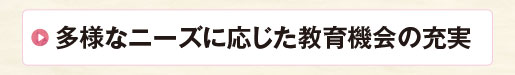 多様なニーズに応じた教育機会の充実