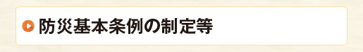 防災基本条例の制定等